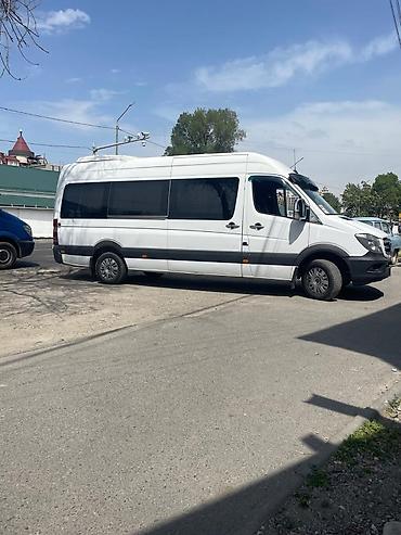 кадамжой: Баруучу жер: Чаек, Орундардын саны: 19, Лицензия №: 08В006490 — 5