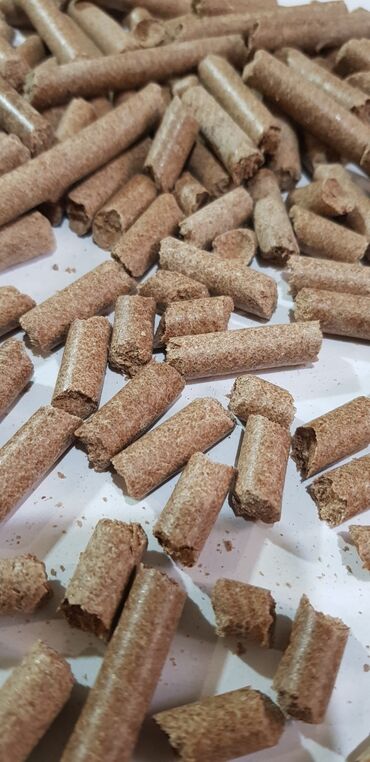 Товары и оборудование для с/х животных: ГРАНУЛЯТОРЫ, ДРОБИЛКИ, ЭКСТРУДЕРЫ ИЗГОТОВЛЕНИЕ ПОД ЗАКАЗ — 12