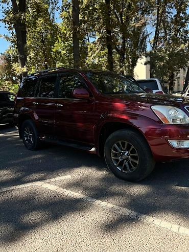 range rover v: Lexus GX: 2008 г., 4.7 л, Автомат, Бензин, Внедорожник — 4
