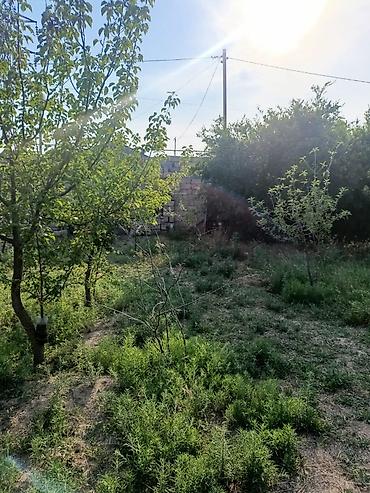 maştağa: Sabunçu r-nu, Maştağa qəsəbəsində, 186N marşrutun yolundan 50–60 m — 5