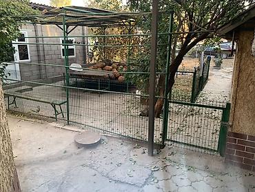 old bishkek: 4 комнаты, 190 м², 10 соток, Джал, Риэлтор — 9