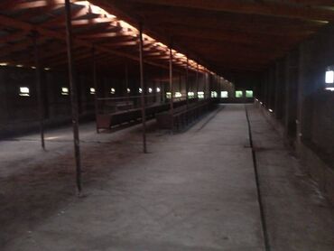 Torpaq sahələrinin satışı: 40 sot, Kənd təsərrüfatı, Mülkiyyətçi, Kupça (Çıxarış) — 3