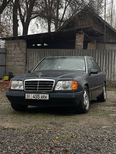 Mercedes-Benz: Mercedes-Benz W124: 1995 г., 2.2 л, Автомат, Бензин