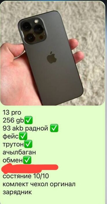 aoc монитор: IPhone 13 Pro, 256 ГБ, Чехол, 93 %