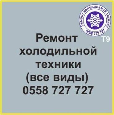 термо холодильник: Все виды холодильной техники. Ремонт, профилактика, сервизное