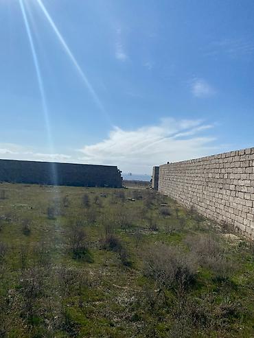 Torpaq: 12 sot, Tikinti, Mülkiyyətçi, Kupça (Çıxarış) — 10