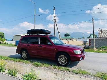 16 lt: Автобокс 175 см, 600 л, Новый, Бесплатная доставка — 4