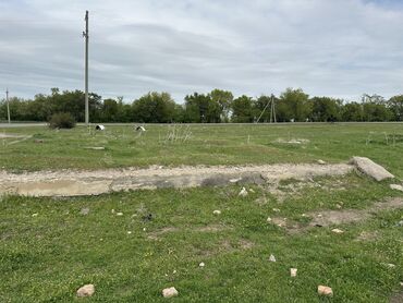 Продажа участков: 25 соток, Для бизнеса, Договор купли-продажи, Красная книга — 8