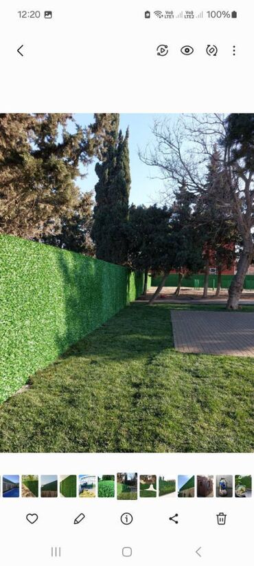 Bağ və bostan üçün digər məhsullar: Yaşıl dekorativ hasar-çim çit-setka qazon. Şirkətimiz tərəfindən — 25