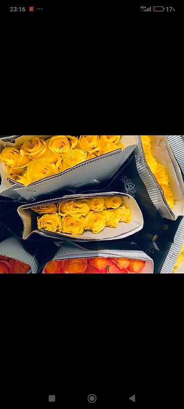 Букеты из живых цветов: Розы и тюльпаны к 8 Марта - Срезанные свежие розы в ассортименте — 6