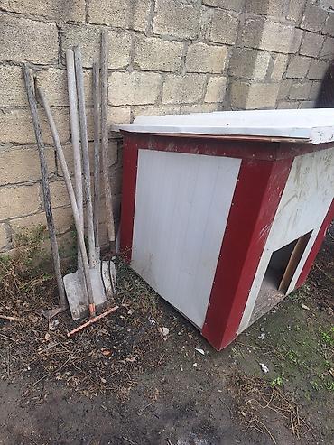 pudel it cinsi: İt evi – açıq havada istifadə üçün - Material: bərk taxta karkas — 3