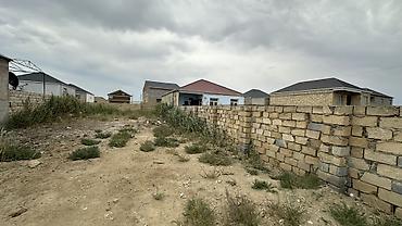 kurdexanida torpaq: Tikinti — 5
