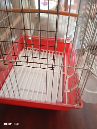 Heyvanlar: Qırmızı-ağ quş qəfəsi - Material: metal barmaqlıqlar, plastik altlıq — 9