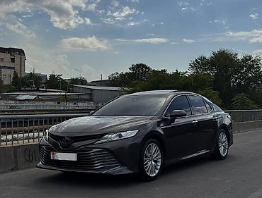 тойота аква гибрид: Toyota Camry: 2018 г., Автомат, Гибрид, Седан — 1