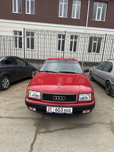 Audi: Audi 100: 1991 г., Седан — 16