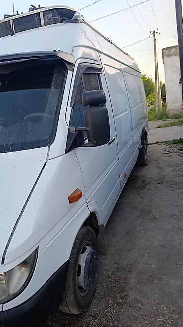belarus 892 2: Автобус, Mercedes-Benz, 2005 г., 2.7 л — 1