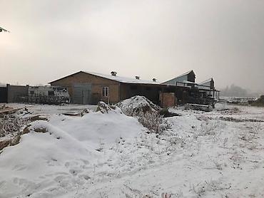 раздольное: Сдаю Кошару, от Шлагбаума 10км. возле объездной дороги. Участок 30 — 3
