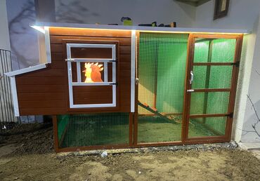 Yuvalar: Tuyuq yuvası Hin sifarişlə hazırlanması istənilən ölçüdə tam — 14