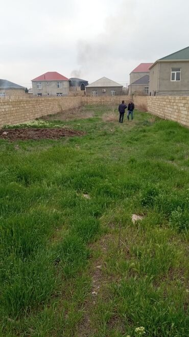xacmazda findiq bagi satilir: 7 sot, Mülkiyyətçi, Kupça (Çıxarış)