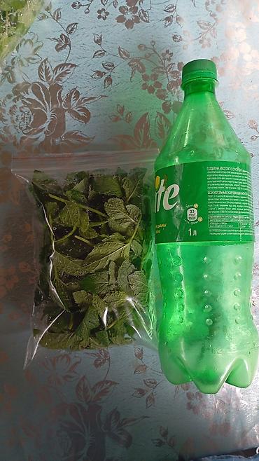 продаю или миняю: Продаю мята (Марокканский сорт)с корнями. Могу посадить вам в горшке — 9