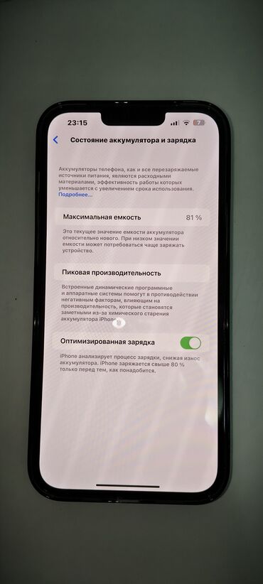 Apple iPhone: IPhone 13 Pro, Б/у, Графит, Чехол, 81 %