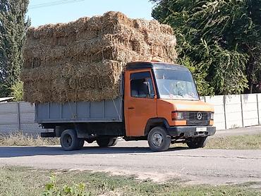 ман фура: Грузовик, Mercedes-Benz, Стандарт, 5 т, Б/у — 9