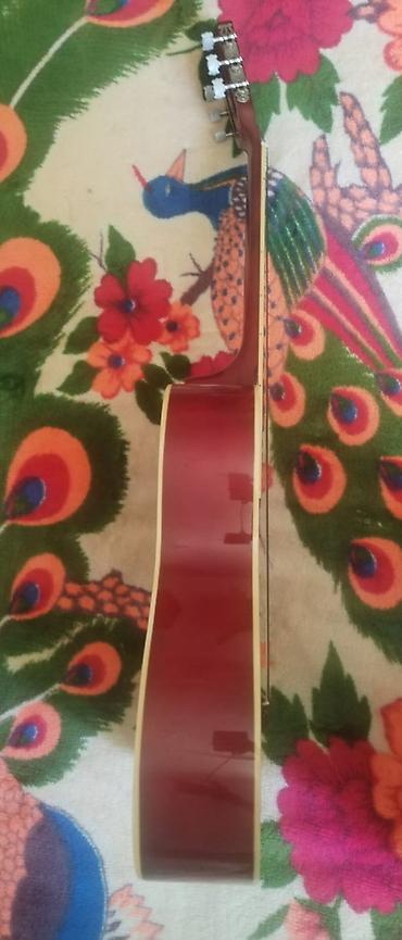 ucuz gitar: Məhsul: Klassik gitara + yumşaq çanta - Korpus: tam ölçülü klassik — 3