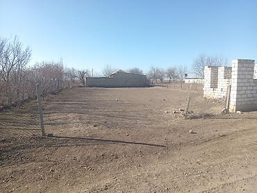 bileceri kiraye evler: 10 соток — 4