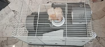 kompresor akvarium: Hamster üçün tam dəst qəfəs - Uç mərtəbəli metal barmaqlıqlı qəfəs — 8
