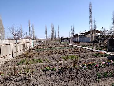дом кантте: Продаётся жилой дом село Ленинское, улица Восточная 397. 20 СОТОК с — 2