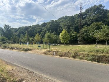 Torpaq sahələrinin satışı: 35 sot, Kənd təsərrüfatı, Mülkiyyətçi, Kupça (Çıxarış) — 12