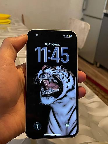 Apple iPhone: IPhone 13, Старлайт, Чехол, 76 % — 11