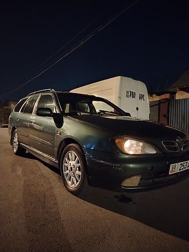 nisa: Nissan Primera: 2001 г., 2 л, Автомат, Бензин, Универсал — 1