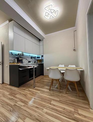 оргтехстрой: 2 комнаты, 45 м², Филармония Элитка, 6 этаж, Евроремонт — 4
