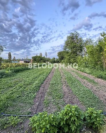село ждал: 🏠Продается дом в с. Садовое Нижняя зона 🟡Стены саманные 🟡 3- жилых — 2