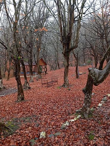 ev alqi satqisi kirayesi: Masalli rayonu. İsti su istirahet merkezine yaxin. Turan restoranina — 7