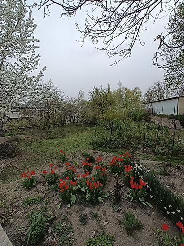 Продажа коттеджей и домов: Продается частный дом в районе аламединского рынка с участком 11 — 19