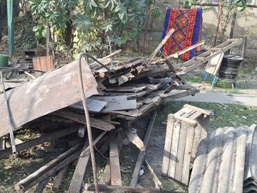 отдам алабая в хорошие руки: Отдам даром дрова, самовывоз!!! lalafo.kg да отдам алабая в хорошие руки: Отдам даром дрова, самовывоз!!!