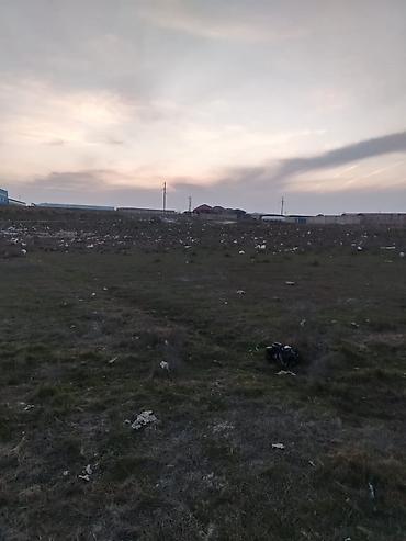 binə mehriban qonşular: 34 sot, Kənd təsərrüfatı, Kupça (Çıxarış) — 2
