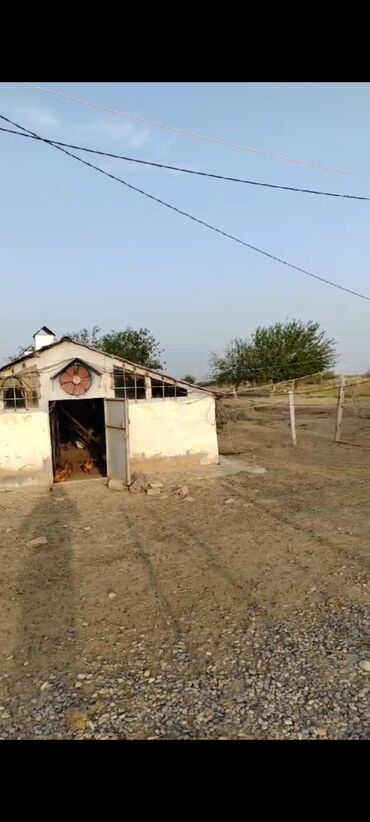 7 mkr: 15000 sot, Mülkiyyətçi, Kupça (Çıxarış)