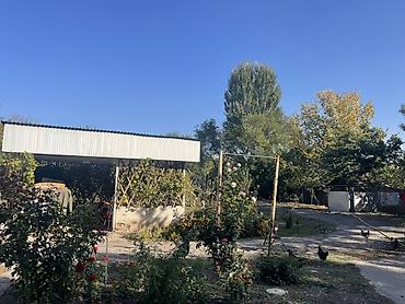 Продажа участков: 48 соток — 12
