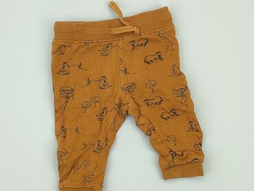 ocean legginsy: Spodnie dresowe, 0-3 m, stan - Bardzo dobry