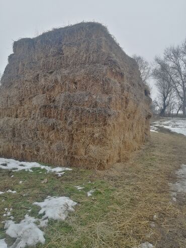 Корма для с/х животных: 1й кос, 270 сомов, за штук