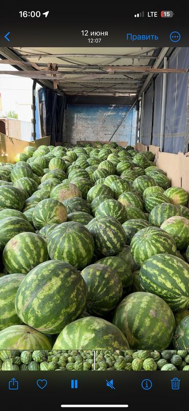 молоко домашнее: Уруктар жашылчалардын: Өзү алып кетүү, Акылуу жеткирүү