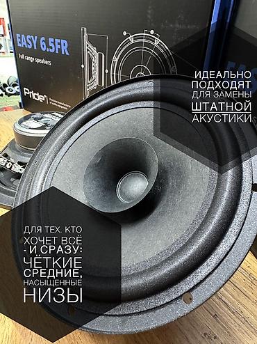 эстрадные: Широкополосные динамики Pride Easy 6.5FR PRIDE EASY FR ( FULL RANGE) — 2