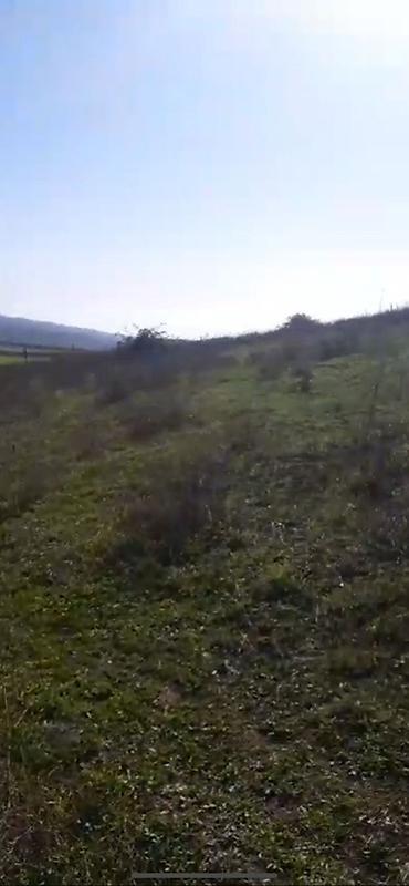 Torpaq sahələrinin satışı: 10 sot, Tikinti — 4