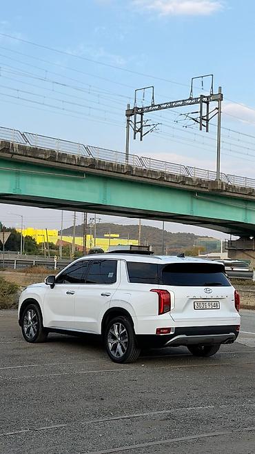 4wd 20132020: Hyundai Palisade: 2020 г., Кроссовер — 5