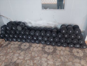 Qantellər: Qantellər, Çəki: 11 kq — 7