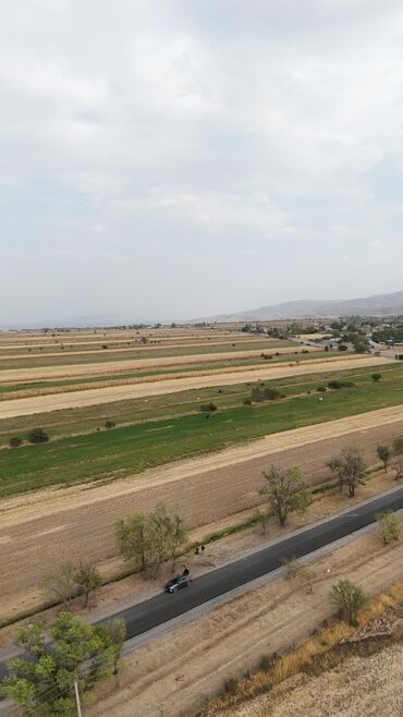 Продажа домов: Дача, 45 м², 3 комнаты, Собственник — 9