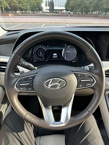 мишлен: Hyundai Palisade: 2021 г., 2.2 л, Автомат, Дизель, Кроссовер — 9